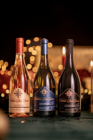 Ontdekkingsmand cadeauset