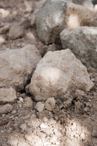 Zorah_soil_1